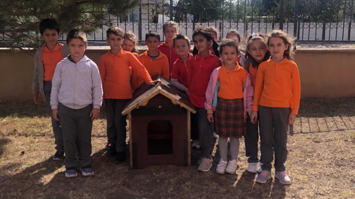 Okul Bahçemizde Sokak Hayvanları için Barınma ve Beslenme Alanları Oluşturuldu