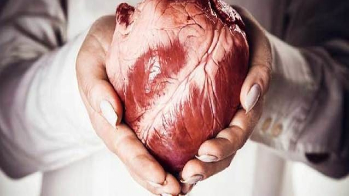 Fen Bilimleri Dersinde Kalp İnceleme Etkinliği